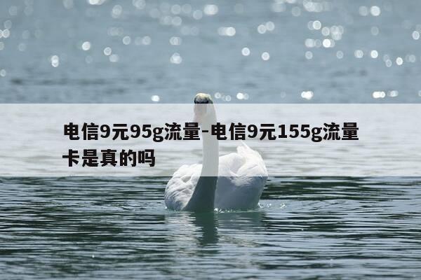 电信9元95g流量-电信9元155g流量卡是真的吗-第1张图片-优惠活动网