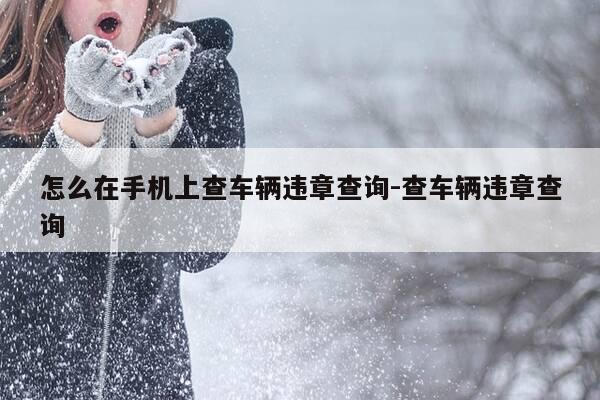 怎么在手机上查车辆违章查询-查车辆违章查询-第1张图片-优惠活动网