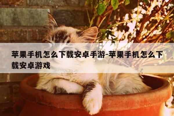 苹果手机怎么下载安卓手游-苹果手机怎么下载安卓游戏-第1张图片-优惠活动网 苹果手机怎么下载安卓手游-苹果手机怎么下载安卓游戏-第1张图片-优惠活动网