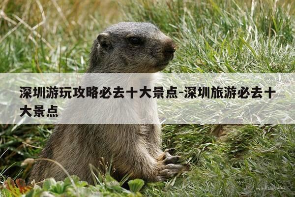 深圳游玩攻略必去十大景点-深圳旅游必去十大景点-第1张图片-优惠活动网