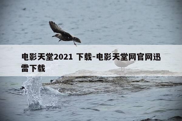 电影天堂2021 下载-电影天堂网官网迅雷下载-第1张图片-优惠活动网