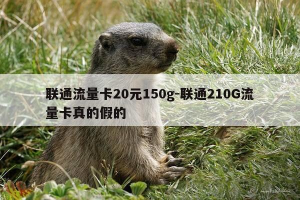 联通流量卡20元150g-联通210G流量卡真的假的-第1张图片-优惠活动网
