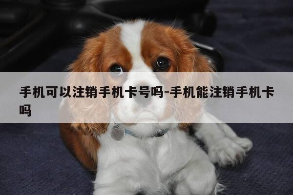 手机可以注销手机卡号吗-手机能注销手机卡吗-第1张图片-优惠活动网