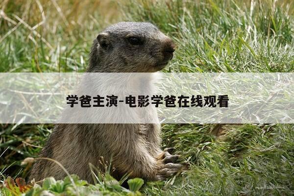 学爸主演-电影学爸在线观看-第1张图片-优惠活动网