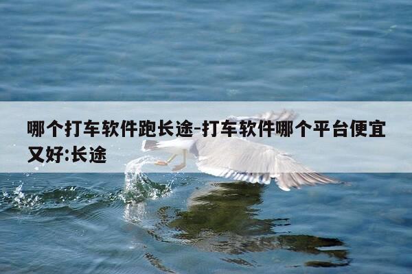 哪个打车软件跑长途-打车软件哪个平台便宜又好:长途-第1张图片-优惠活动网