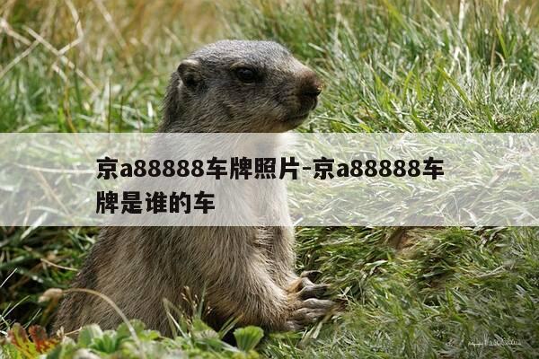 京a88888车牌照片-京a88888车牌是谁的车-第1张图片-优惠活动网