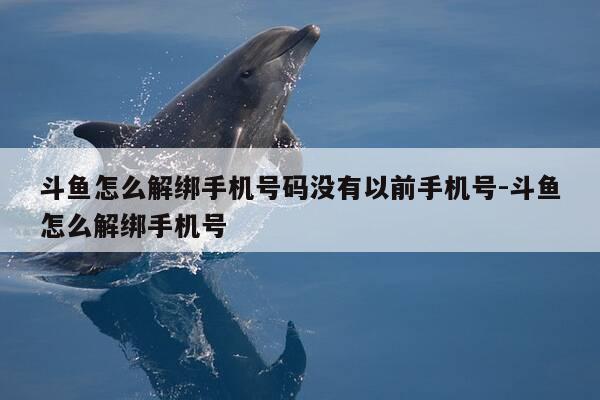 斗鱼怎么解绑手机号码没有以前手机号-斗鱼怎么解绑手机号-第1张图片-优惠活动网