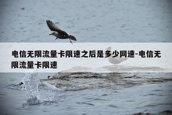 电信无限流量卡限速之后是多少网速-电信无限流量卡限速-第1张图片-优惠活动网 电信无限流量卡限速之后是多少网速-电信无限流量卡限速-第1张图片-优惠活动网