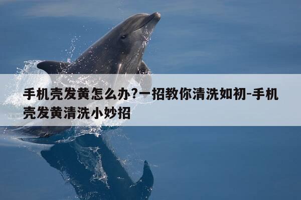 手机壳发黄怎么办?一招教你清洗如初-手机壳发黄清洗小妙招-第1张图片-优惠活动网