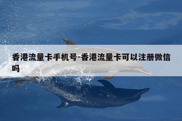 香港流量卡手机号-香港流量卡可以注册微信吗-第1张图片-优惠活动网