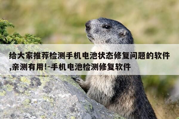 给大家推荐检测手机电池状态修复问题的软件,亲测有用!-手机电池检测修复软件-第1张图片-优惠活动网