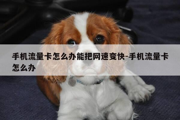 手机流量卡怎么办能把网速变快-手机流量卡怎么办-第1张图片-优惠活动网