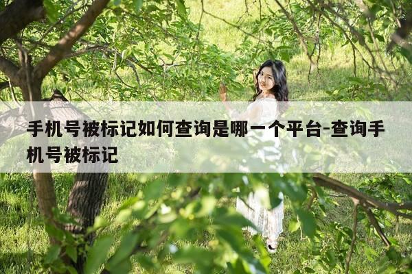 手机号被标记如何查询是哪一个平台-查询手机号被标记-第1张图片-优惠活动网