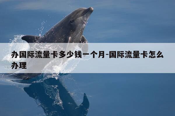 办国际流量卡多少钱一个月-国际流量卡怎么办理-第1张图片-优惠活动网 办国际流量卡多少钱一个月-国际流量卡怎么办理-第1张图片-优惠活动网