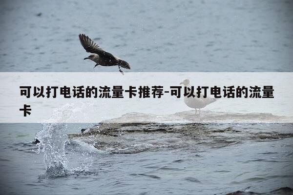 可以打电话的流量卡推荐-可以打电话的流量卡-第1张图片-优惠活动网