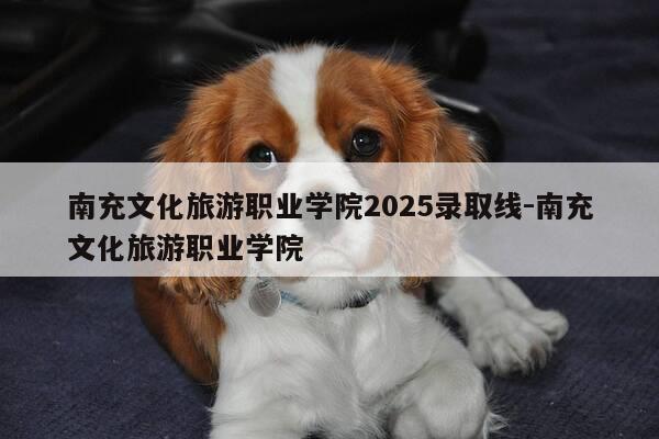 南充文化旅游职业学院2025录取线-南充文化旅游职业学院-第1张图片-优惠活动网 南充文化旅游职业学院2025录取线-南充文化旅游职业学院-第1张图片-优惠活动网