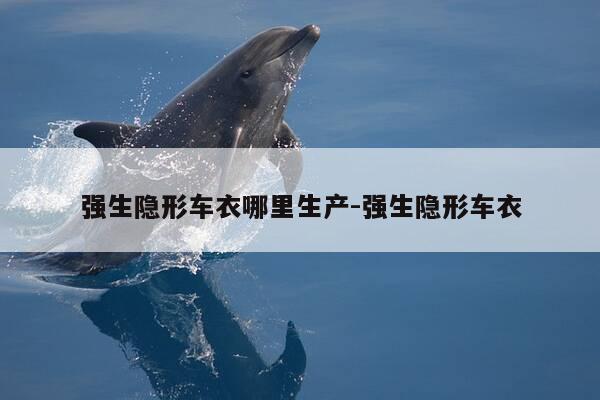 强生隐形车衣哪里生产-强生隐形车衣-第1张图片-优惠活动网