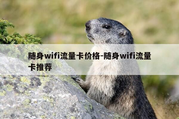 随身wifi流量卡价格-随身wifi流量卡推荐-第1张图片-优惠活动网