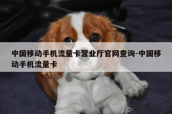 中国移动手机流量卡营业厅官网查询-中国移动手机流量卡-第1张图片-优惠活动网