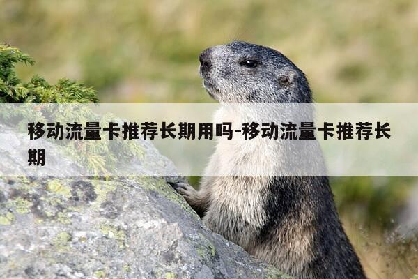 移动流量卡推荐长期用吗-移动流量卡推荐长期-第1张图片-优惠活动网