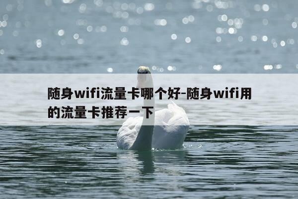 随身wifi流量卡哪个好-随身wifi用的流量卡推荐一下-第1张图片-优惠活动网