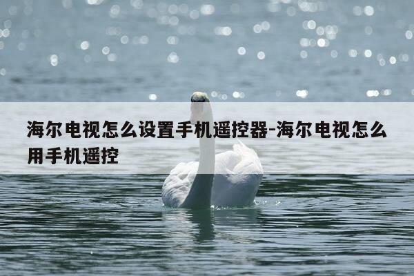 海尔电视怎么设置手机遥控器-海尔电视怎么用手机遥控-第1张图片-优惠活动网