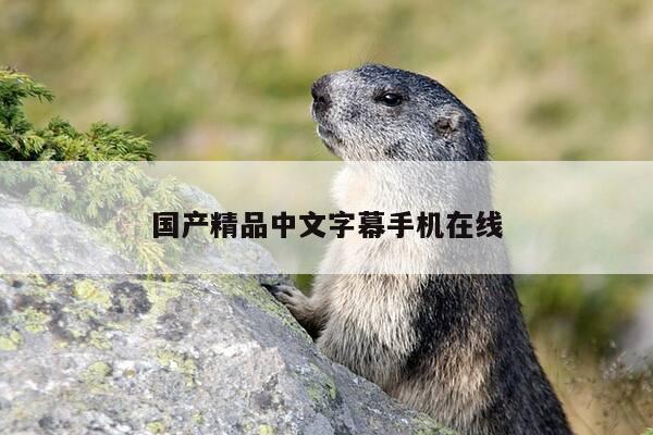 国产精品中文字幕手机在线-第1张图片-优惠活动网 国产精品中文字幕手机在线-第1张图片-优惠活动网