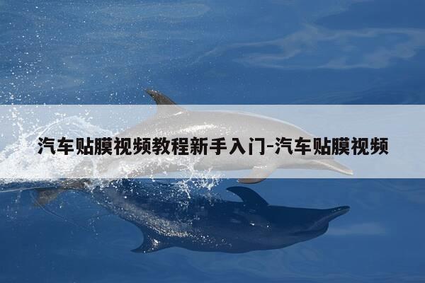 汽车贴膜视频教程新手入门-汽车贴膜视频-第1张图片-优惠活动网