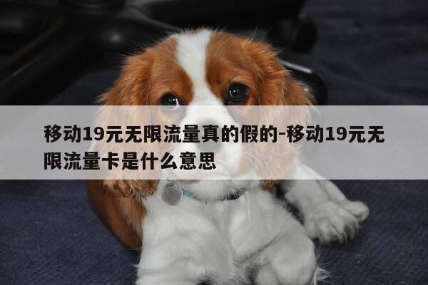移动19元无限流量真的假的-移动19元无限流量卡是什么意思-第1张图片-优惠活动网