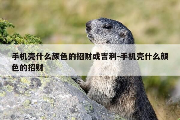 手机壳什么颜色的招财或吉利-手机壳什么颜色的招财-第1张图片-优惠活动网