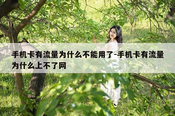 手机卡有流量为什么不能用了-手机卡有流量为什么上不了网-第1张图片-优惠活动网