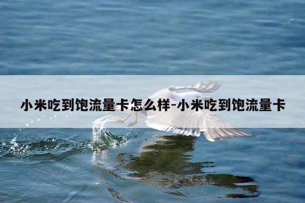 小米吃到饱流量卡怎么样-小米吃到饱流量卡-第1张图片-优惠活动网