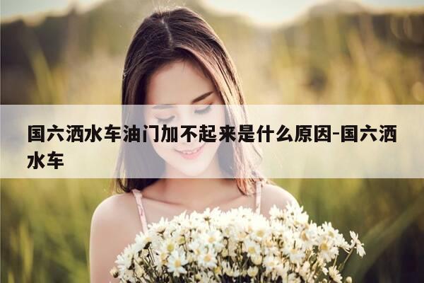 国六洒水车油门加不起来是什么原因-国六洒水车-第1张图片-优惠活动网