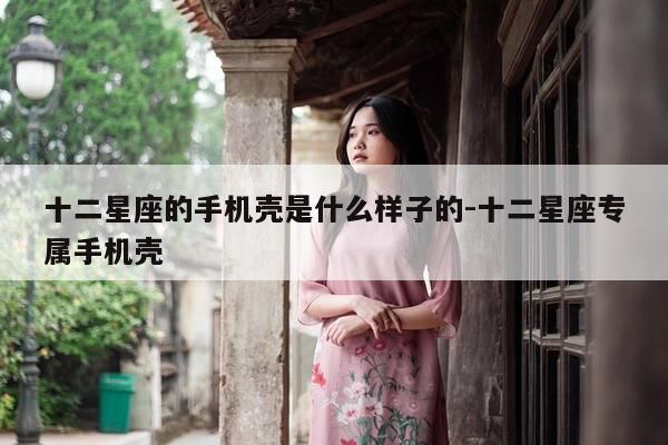 十二星座的手机壳是什么样子的-十二星座专属手机壳-第1张图片-优惠活动网