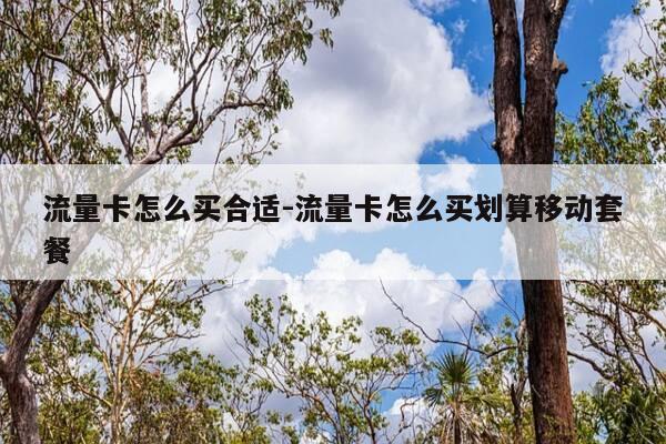 流量卡怎么买合适-流量卡怎么买划算移动套餐-第1张图片-优惠活动网 流量卡怎么买合适-流量卡怎么买划算移动套餐-第1张图片-优惠活动网