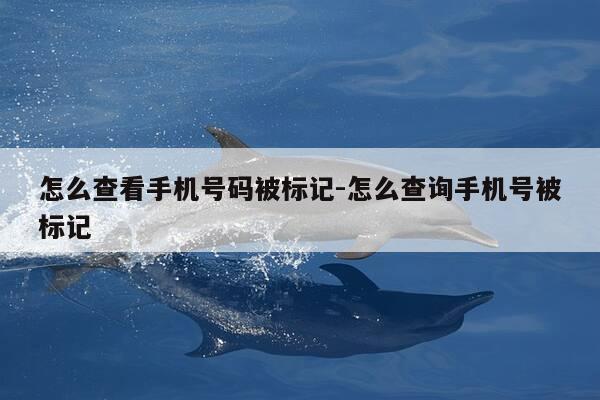 怎么查看手机号码被标记-怎么查询手机号被标记-第1张图片-优惠活动网