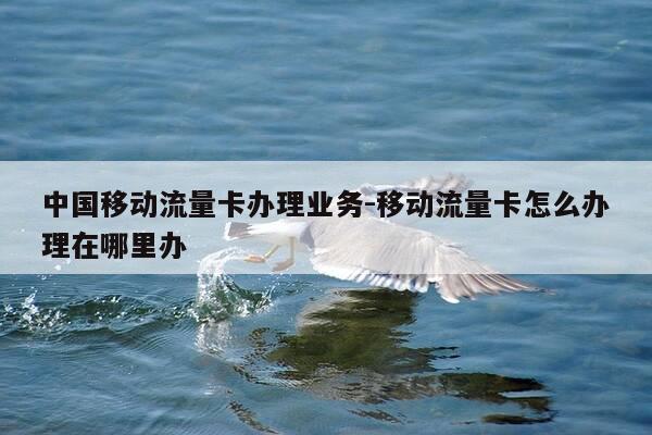 中国移动流量卡办理业务-移动流量卡怎么办理在哪里办-第1张图片-优惠活动网