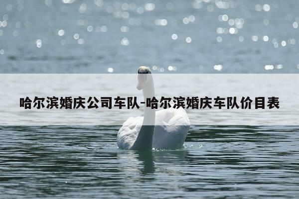 哈尔滨婚庆公司车队-哈尔滨婚庆车队价目表-第1张图片-优惠活动网