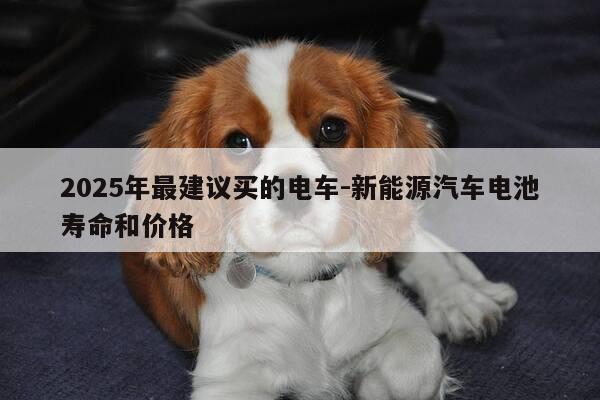 2025年最建议买的电车-新能源汽车电池寿命和价格-第1张图片-优惠活动网