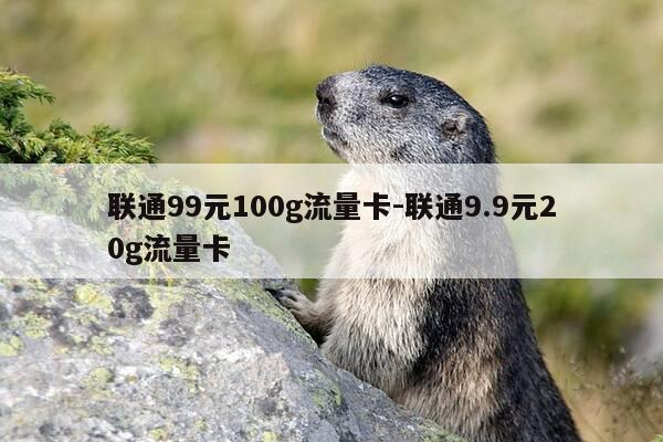 联通99元100g流量卡-联通9.9元20g流量卡-第1张图片-优惠活动网