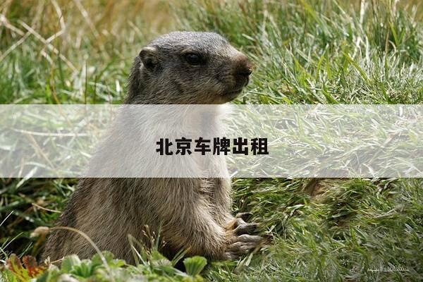 北京车牌出租-第1张图片-优惠活动网