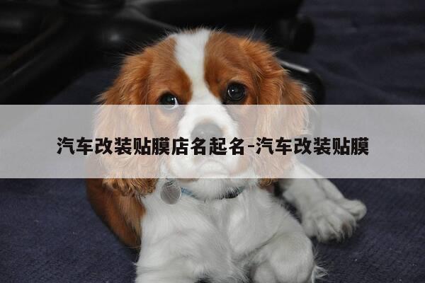 汽车改装贴膜店名起名-汽车改装贴膜-第1张图片-优惠活动网