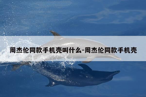 周杰伦同款手机壳叫什么-周杰伦同款手机壳-第1张图片-优惠活动网