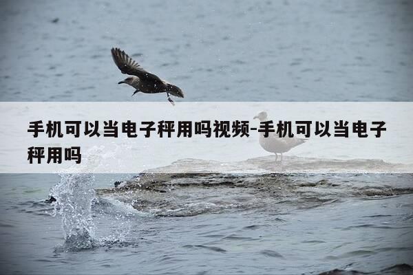 手机可以当电子秤用吗视频-手机可以当电子秤用吗-第1张图片-优惠活动网 手机可以当电子秤用吗视频-手机可以当电子秤用吗-第1张图片-优惠活动网