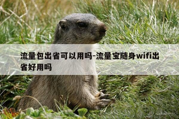 流量包出省可以用吗-流量宝随身wifi出省好用吗-第1张图片-优惠活动网
