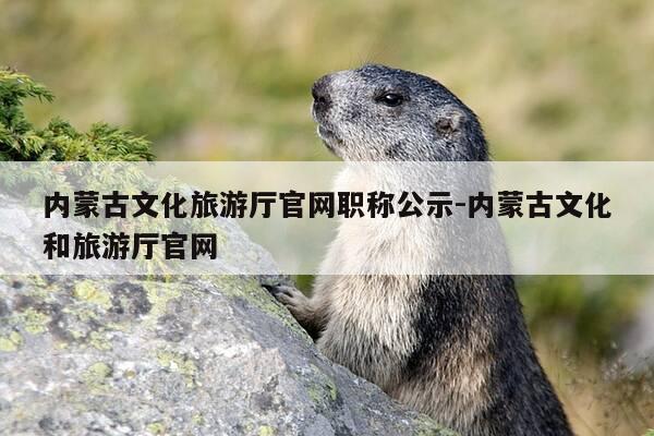 内蒙古文化旅游厅官网职称公示-内蒙古文化和旅游厅官网-第1张图片-优惠活动网