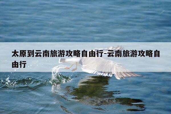 太原到云南旅游攻略自由行-云南旅游攻略自由行-第1张图片-优惠活动网