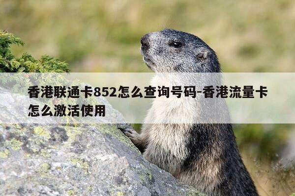 香港联通卡852怎么查询号码-香港流量卡怎么激活使用-第1张图片-优惠活动网