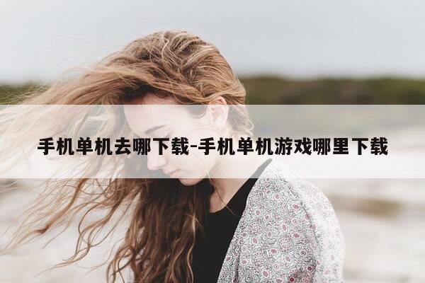 手机单机去哪下载-手机单机游戏哪里下载-第1张图片-优惠活动网