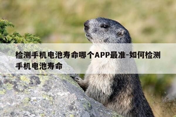 检测手机电池寿命哪个APP最准-如何检测手机电池寿命-第1张图片-优惠活动网